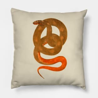 serpent,cobra,reptile,viper,venom,lizard,rattlesnake,king cobra, Pillow