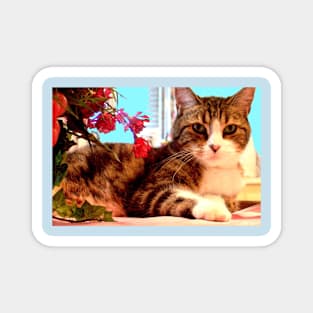 Cat with Flowers Magnet