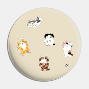 5 cute cats Pin