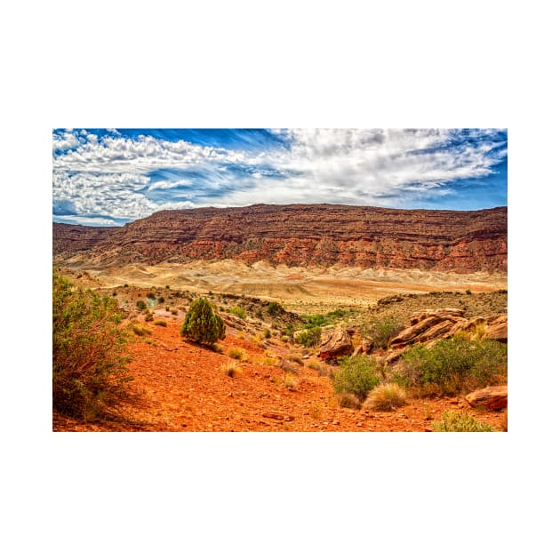 Arches National Park, Moab Utah by Gestalt Imagery