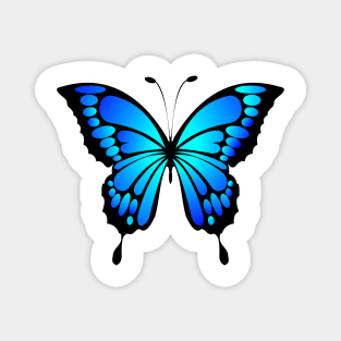 Dramatic Bright Blue and Black Butterfly Magnet