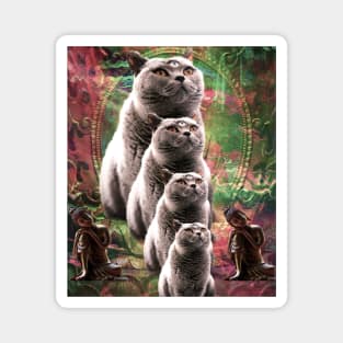 Cute Funny Buddha Cat - Third Eye Cat Magnet