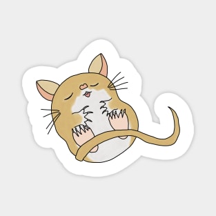 Cute golden sleeping Gerbil Magnet