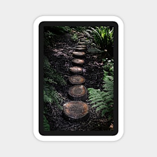 Tree stump path in the forest Magnet