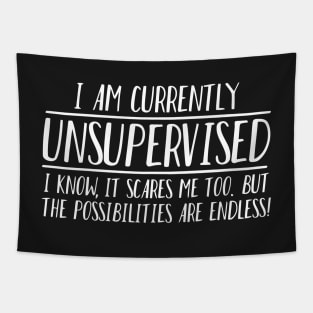 IM UNSUPERVISED POSSIBILITIES ENDLESS Tapestry