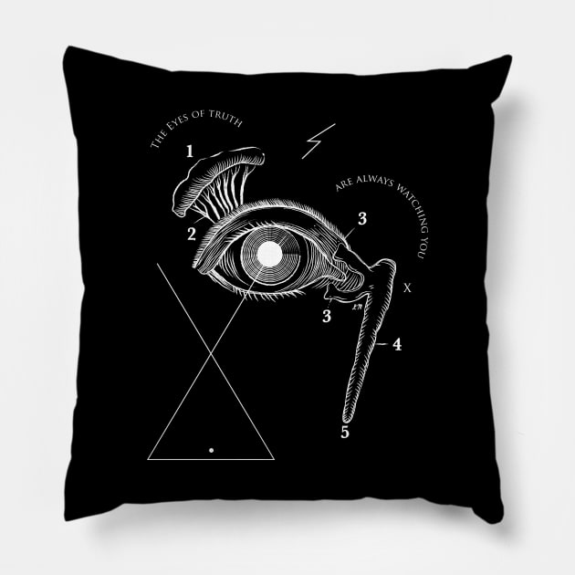 The Eyes Of Truth Pillow by LadyMorgan