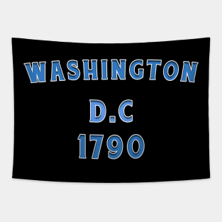 Washington D.C 1790 Tapestry