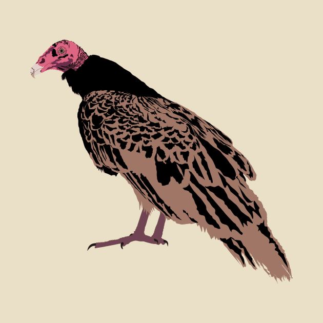 Turkey Vulture by stargatedalek