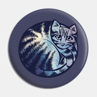 Sweet Cat Looking Up With Sweet Eyes Pin