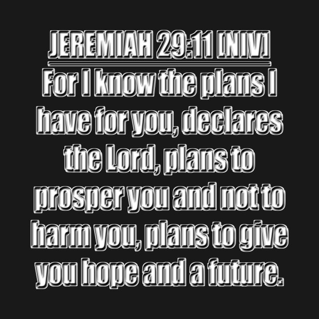 Jeremiah 29:11 Bible Verse NIV Text by Holy Bible Verses