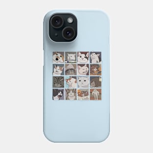 Cat memes Phone Case