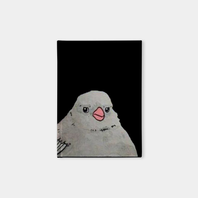 Annoyed Bird Meme Blank