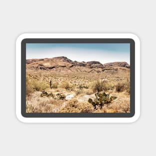 Apache Trail Scenic Drive View Magnet