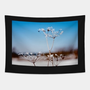 Queen Annes Lace Snow flowers Tapestry