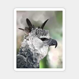 Harpy Eagle Magnet