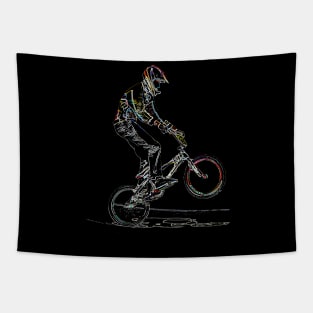 bmx Tapestry