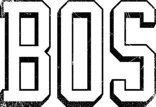 BOSton retro - Green/White Magnet