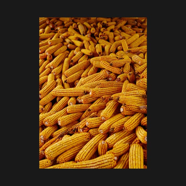 Corn cobs in a barn by naturalis