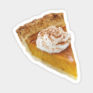 Pumpkin Pie with Whipped Cream and Nutmeg Magnet