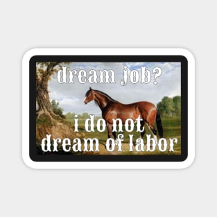 I do not dream of labor horse Magnet