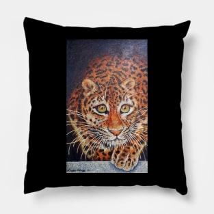 Tiger cub Pillow