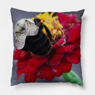 Pollinator Pillow