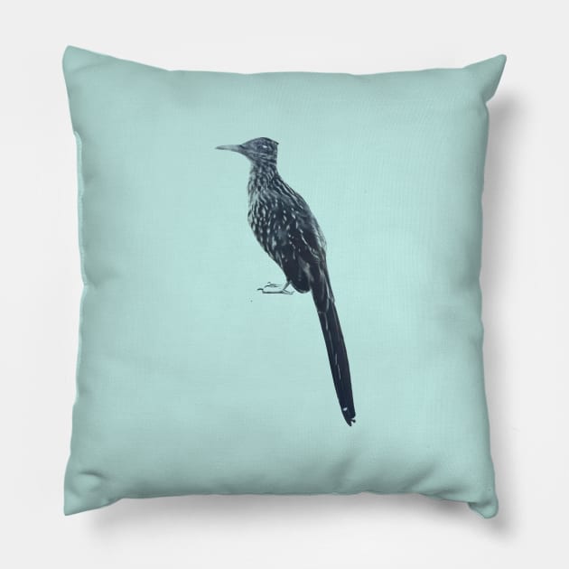 Roadrunner Sighting Pillow by hannahjgb