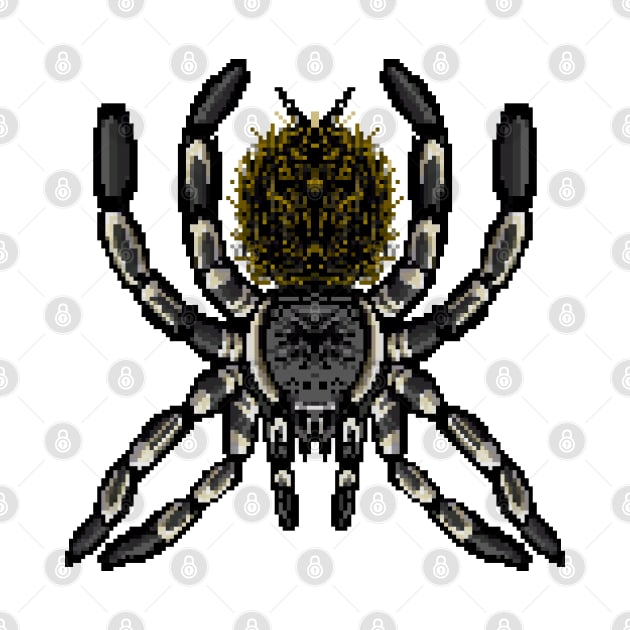 Tarantula Pixel Art 6 by IgorAndMore