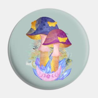 Watercolor Butterflies Crystals Mushrooms Phases of the Moon Pin