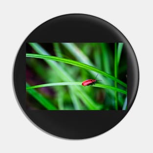 Scarlet lily beetle Pin