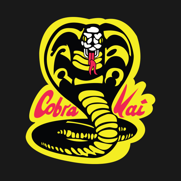 Image result for cobra kai