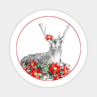 Deer in poinsettia field Magnet