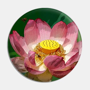 The sacred lotus Pin