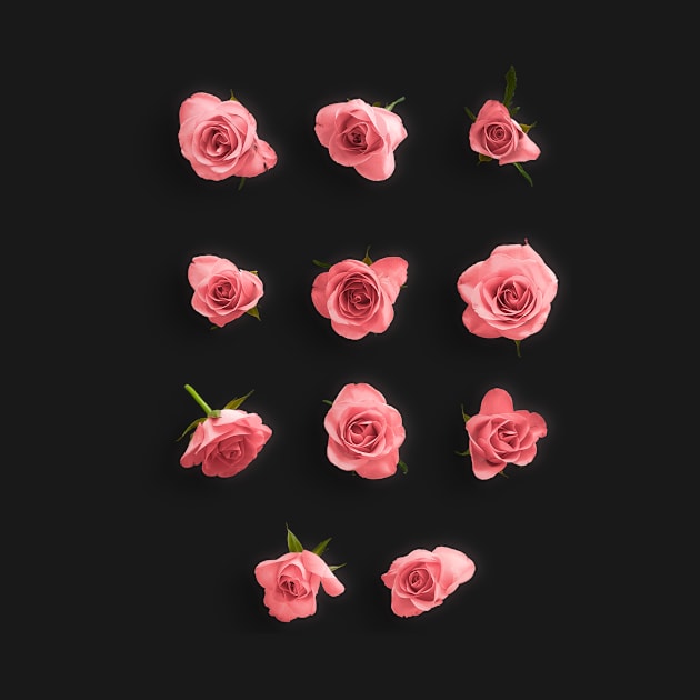 Roses by Abu Muorad