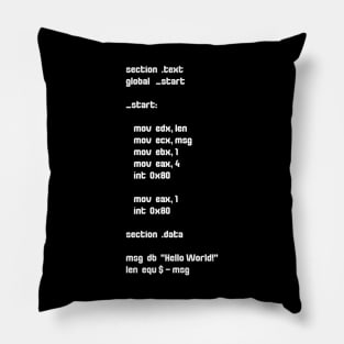 Cyber security - Hacker - Hello World Assembly Code - Exploit development Pillow