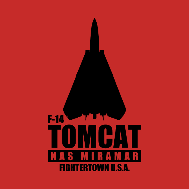 F-14 Tomcat NAS Miramar by Firemission45