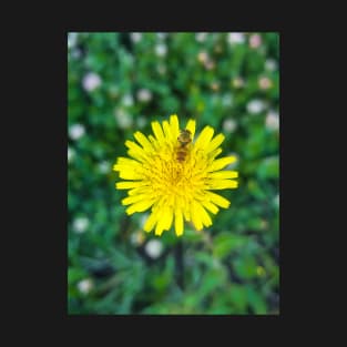 Dandelion T-Shirt