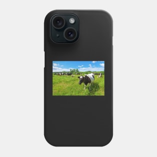 A herd of Holstein Friesian cows grazing on a pasture under blue cloudy sky Phone Case