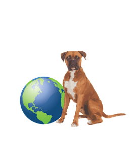 Boxer Earth Day Awareness 2018 T-Shirt Magnet