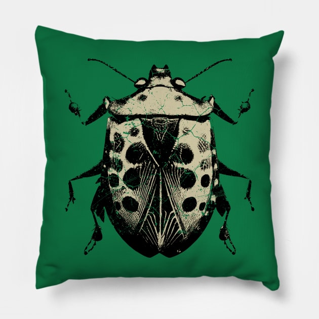 Stink Bug Insect Art Pillow by All-About-Words