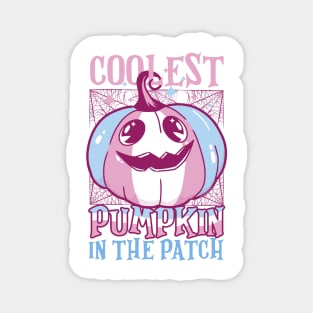 Coolest Pumpkin In The Patch Trans Flag Jack O’ Lantern Funny Magnet