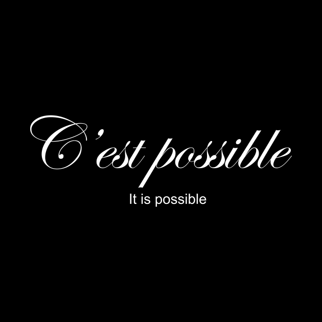 C'est possible: IT'S POSSIBLE by King Chris