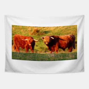 Highland Cows in the Sun Tapestry