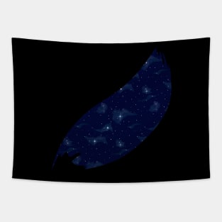 Night sky stars pattern. Tapestry