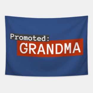 Promoted Grandma 2 Tapestry