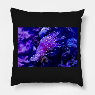 Purple neon Torch coral Pillow