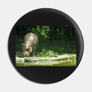 Pygmy Hippo Pin