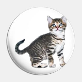 RDJ SPIDERMAN HOMECOMING CAT Pin