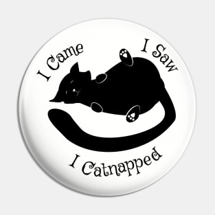 I Came I Saw Catnapped Cute Cat Pin