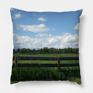 Lovely Weather Pillow